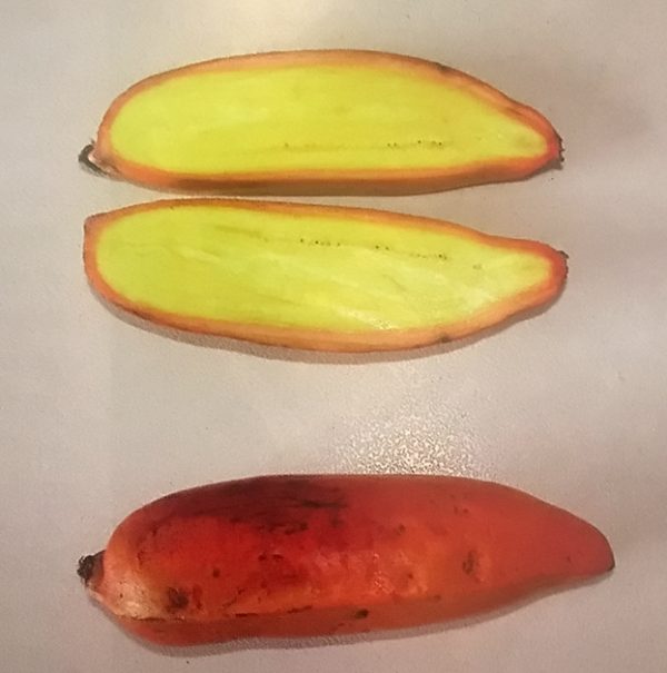 Fe'i Aiuri Banana Plant